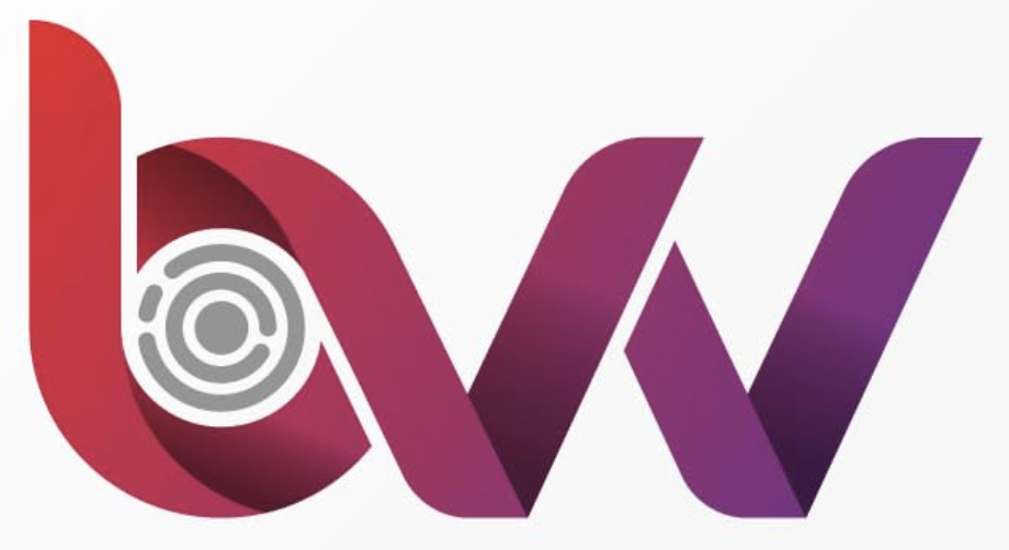 Best Value Vacs logo